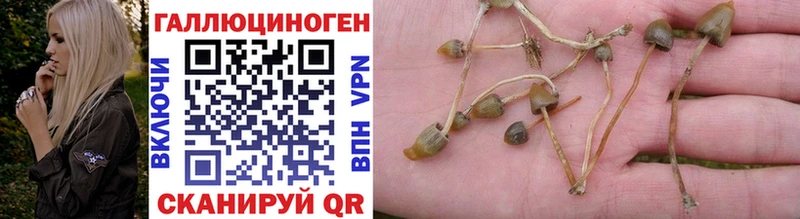 ссылка на мегу зеркало  Емва  Галлюциногенные грибы Psilocybe 